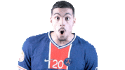 Happy France Sticker by Paris Saint-Germain Handball