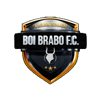 Futebol Churrasco Sticker by Boi Brabo