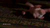 breaking bad GIF by NETFLIX