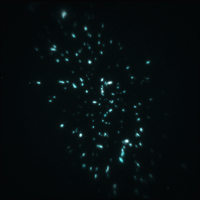 glitch spinning GIF by Erica Anderson