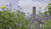field am GIF by Texas A&M University
