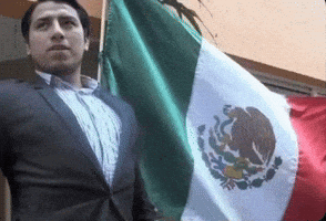 World-Cup Mexico GIF