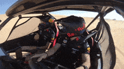 Red Bull F1 GIF by Red Bull Racing