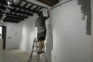 Art Gallery GIF by MISTER THOMS