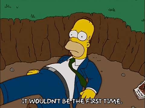 homer simpson GIF
