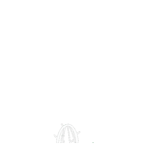 Cactus Arizona Sticker