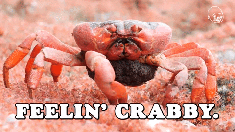 Crab GIF by Eternal Family