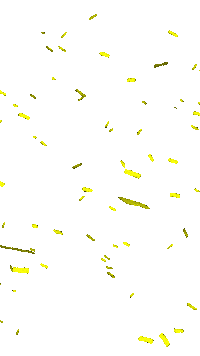 Carnaval Confetti Sticker by B on Stage