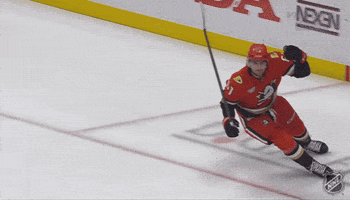 Happy Anaheim Ducks GIF by NHL