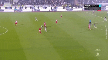 partizan GIF