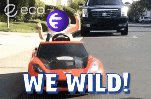 Crypto Cryptocurrency GIF by Eco