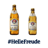 Beer Cheers Sticker by Paulaner