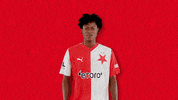 Football Soccer GIF by SK Slavia Praha