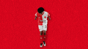 Football Soccer GIF by SK Slavia Praha