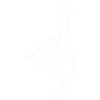 Martial Arts Design Sticker