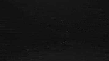 Skating Josh Homme GIF by Queens of the Stone Age