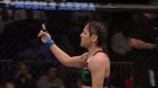 ufc 209 GIF