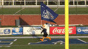 football eagles GIF by Georgia Southern Athletics