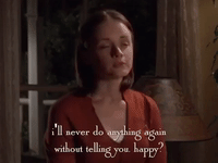season 4 netflix GIF by Gilmore Girls 