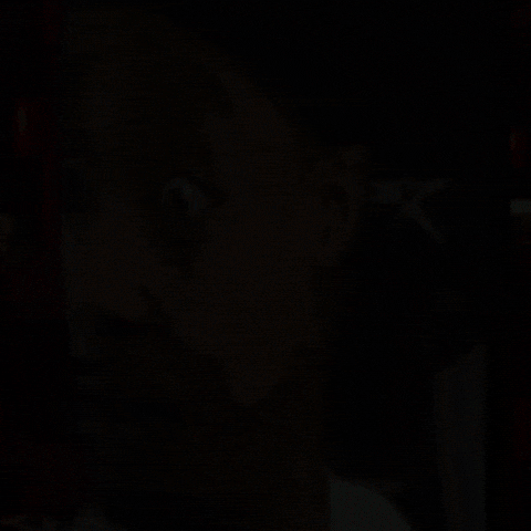 Flight Flightreacts GIF