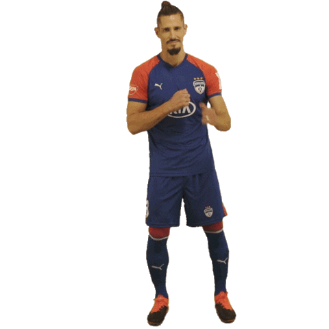 Heroisl Bengalurufc Sticker by Indian Super League