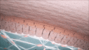 GIF by Craft Tea Fox