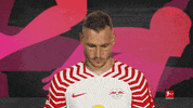 Posing Line Up GIF by Bundesliga