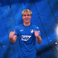 Sport Bundesliga GIF by TSG Hoffenheim
