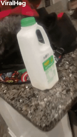 Kid Learns The Difference Between Buttermilk And Milk GIF by ViralHog