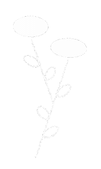 Art Design Sticker