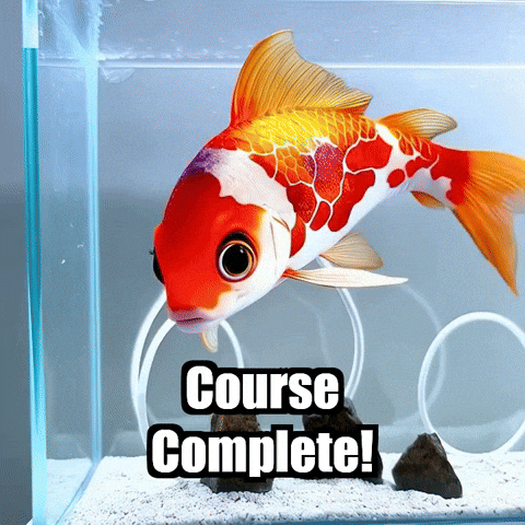 Koi Fish Agility GIF by TheConfishius
