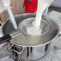 Go Back Cooking GIF by TRT