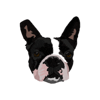je_sappelle_patrick dog doggo patrick boston Sticker
