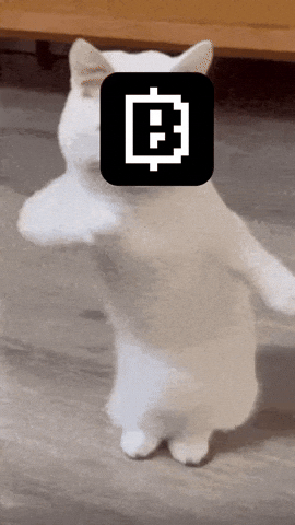 vvviikkaaa giphyupload GIF