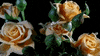 vintage flowers GIF