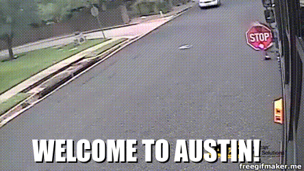 austin GIF by TastyPlacement