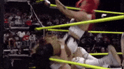 Wwe Wrestling GIF