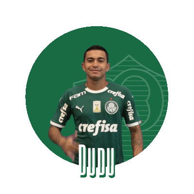 soccer hang loose Sticker by SE Palmeiras