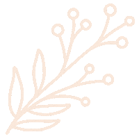 Flowers Leaf Sticker by Natalie Tahhan
