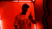 Major League Baseball No GIF by Baltimore Orioles