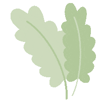 Plantas Desodorante Sticker by HomuNatural