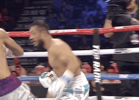 toprank giphyupload fight boxing champion GIF