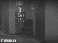 Silent Film 1920S GIF by Det Danske Filminstitut