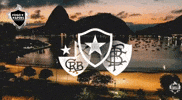 Botafogo De Futebol E Regatas Bfr GIF