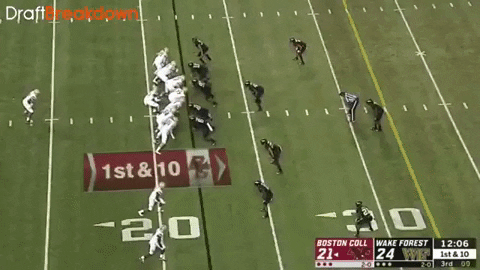 SchaufDS giphygifmaker GIF