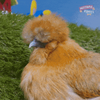 Thinking What GIF by Mittens & Pants