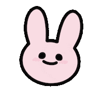 Rabbit Wonpil Sticker