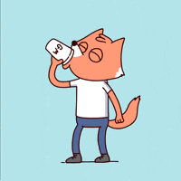 Good Morning Coffee GIF by Fox Fam