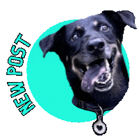 Classy Cleo Sticker