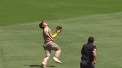 Celebrate Major League Baseball GIF by MLB